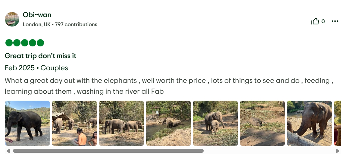 pon elephpant chiangmai thailand reviews